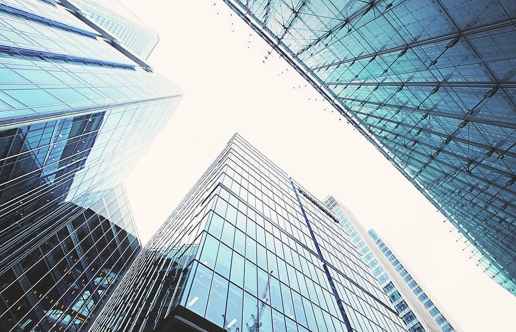 Rosales Insurance Team